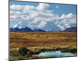Tundra West of the Eieson Visitors Center, Pond with Beaver House, Mt. Denali, Alaska, USA-Charles Sleicher-Mounted Photographic Print