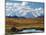 Tundra West of the Eieson Visitors Center, Pond with Beaver House, Mt. Denali, Alaska, USA-Charles Sleicher-Mounted Photographic Print