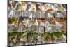 Tung Choi Street Goldfish Market, Mongkok, Kowloon, Hong Kong, China.-Michael DeFreitas-Mounted Photographic Print