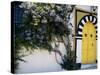 Tunis, Sidi Bou Said, A Decorative Doorway of a Private House, Tunisia-Amar Grover-Stretched Canvas