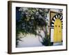 Tunis, Sidi Bou Said, A Decorative Doorway of a Private House, Tunisia-Amar Grover-Framed Photographic Print