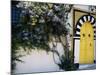 Tunis, Sidi Bou Said, A Decorative Doorway of a Private House, Tunisia-Amar Grover-Mounted Photographic Print