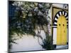Tunis, Sidi Bou Said, A Decorative Doorway of a Private House, Tunisia-Amar Grover-Mounted Photographic Print
