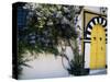 Tunis, Sidi Bou Said, A Decorative Doorway of a Private House, Tunisia-Amar Grover-Stretched Canvas