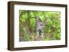 Tunisia 6-Ben Heine-Framed Photographic Print