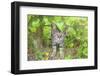 Tunisia 6-Ben Heine-Framed Photographic Print