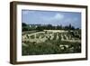 Tunisia, Carthage, Archaeological Site, Paleo-Christian Basilica of Damous El Karita-null-Framed Giclee Print