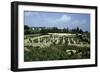Tunisia, Carthage, Archaeological Site, Paleo-Christian Basilica of Damous El Karita-null-Framed Giclee Print
