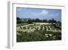 Tunisia, Carthage, Archaeological Site, Paleo-Christian Basilica of Damous El Karita-null-Framed Giclee Print