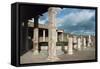 Tunisia, Carthage, Roman Villa Ruins, Portico-null-Framed Stretched Canvas