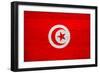 Tunisia Flag Design with Wood Patterning - Flags of the World Series-Philippe Hugonnard-Framed Art Print