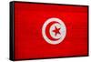 Tunisia Flag Design with Wood Patterning - Flags of the World Series-Philippe Hugonnard-Framed Stretched Canvas