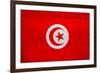 Tunisia Flag Design with Wood Patterning - Flags of the World Series-Philippe Hugonnard-Framed Art Print