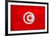 Tunisia Flag Design with Wood Patterning - Flags of the World Series-Philippe Hugonnard-Framed Art Print