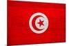 Tunisia Flag Design with Wood Patterning - Flags of the World Series-Philippe Hugonnard-Mounted Art Print