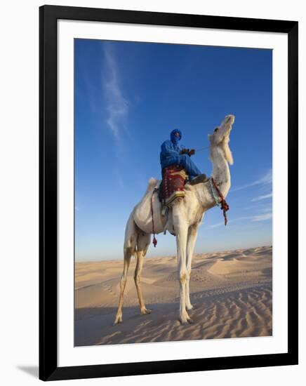 Tunisia, Sahara Desert, Douz, Great Dune, Rider and Camel-Walter Bibikow-Framed Photographic Print