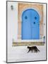 Tunisia, Sidi Bou Said, Building Detail-Walter Bibikow-Mounted Premium Photographic Print