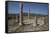 Tunisia, Thuburbo Majus, Temple of Mercury I-null-Framed Stretched Canvas