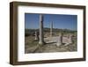 Tunisia, Thuburbo Majus, Temple of Mercury I-null-Framed Photographic Print