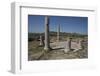 Tunisia, Thuburbo Majus, Temple of Mercury I-null-Framed Photographic Print