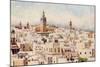 Tunisia, Tunis View 1912-Frances E Nesbitt-Mounted Art Print