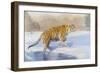 Tunja, the Siberian-Leonard Pearman-Framed Giclee Print