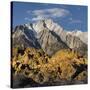 Tunnabora Peak, Mount Whitney, Alabama Hills, Near Lone Pine, Sierra Nevada, California, Usa-Rainer Mirau-Stretched Canvas