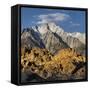 Tunnabora Peak, Mount Whitney, Alabama Hills, Near Lone Pine, Sierra Nevada, California, Usa-Rainer Mirau-Framed Stretched Canvas