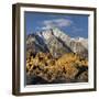 Tunnabora Peak, Mount Whitney, Alabama Hills, Near Lone Pine, Sierra Nevada, California, Usa-Rainer Mirau-Framed Photographic Print