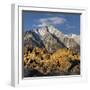 Tunnabora Peak, Mount Whitney, Alabama Hills, Near Lone Pine, Sierra Nevada, California, Usa-Rainer Mirau-Framed Photographic Print