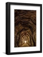 Tunnel 3 On Elroy To Sparta Bike Trail Wisconsin-Steve Gadomski-Framed Premium Photographic Print