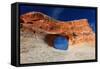 Tunnel Arch, Arches National Park, Utah-Geraint Tellem-Framed Stretched Canvas