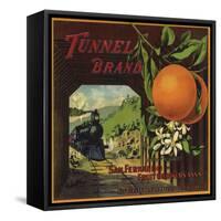 Tunnel Brand - San Fernando, California - Citrus Crate Label-Lantern Press-Framed Stretched Canvas