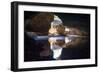 Tunnel Creek, the Kimberleys, Western Australia, Australia, Pacific-Michael Runkel-Framed Photographic Print