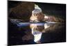 Tunnel Creek, the Kimberleys, Western Australia, Australia, Pacific-Michael Runkel-Mounted Photographic Print