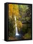 Tunnel Falls in a Fall Color Scene on Eagle Creek in the Columbia Gorge, Oregon, USA-Gary Luhm-Framed Stretched Canvas