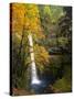 Tunnel Falls in a Fall Color Scene on Eagle Creek in the Columbia Gorge, Oregon, USA-Gary Luhm-Stretched Canvas