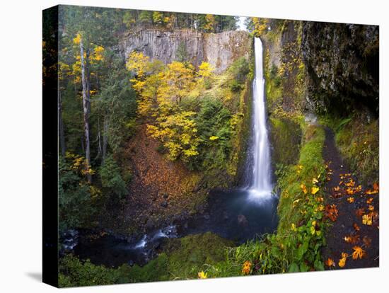 Tunnel Falls in a Fall Color Scene on Eagle Creek in the Columbia Gorge, Oregon, USA-Gary Luhm-Stretched Canvas