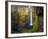 Tunnel Falls in a Fall Color Scene on Eagle Creek in the Columbia Gorge, Oregon, USA-Gary Luhm-Framed Photographic Print