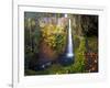 Tunnel Falls in a Fall Color Scene on Eagle Creek in the Columbia Gorge, Oregon, USA-Gary Luhm-Framed Photographic Print