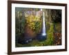 Tunnel Falls in a Fall Color Scene on Eagle Creek in the Columbia Gorge, Oregon, USA-Gary Luhm-Framed Photographic Print