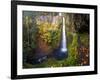 Tunnel Falls in a Fall Color Scene on Eagle Creek in the Columbia Gorge, Oregon, USA-Gary Luhm-Framed Photographic Print