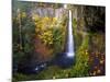 Tunnel Falls in a Fall Color Scene on Eagle Creek in the Columbia Gorge, Oregon, USA-Gary Luhm-Mounted Photographic Print