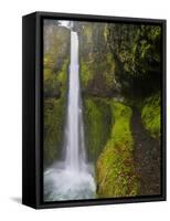 Tunnel Falls on Eagle Creek, Columbia Gorge, Oregon, USA-Gary Luhm-Framed Stretched Canvas
