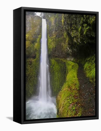 Tunnel Falls on Eagle Creek, Columbia Gorge, Oregon, USA-Gary Luhm-Framed Stretched Canvas