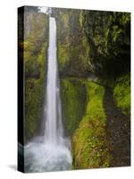 Tunnel Falls on Eagle Creek, Columbia Gorge, Oregon, USA-Gary Luhm-Stretched Canvas