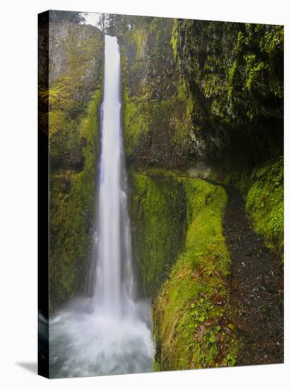 Tunnel Falls on Eagle Creek, Columbia Gorge, Oregon, USA-Gary Luhm-Stretched Canvas