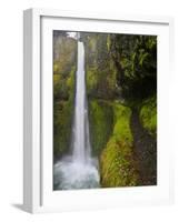 Tunnel Falls on Eagle Creek, Columbia Gorge, Oregon, USA-Gary Luhm-Framed Photographic Print