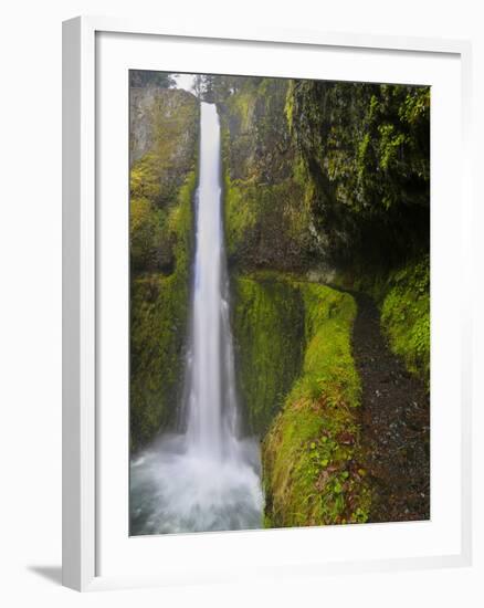 Tunnel Falls on Eagle Creek, Columbia Gorge, Oregon, USA-Gary Luhm-Framed Photographic Print