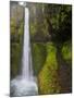 Tunnel Falls on Eagle Creek, Columbia Gorge, Oregon, USA-Gary Luhm-Mounted Photographic Print